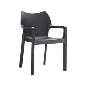 Ansen Arm Chair