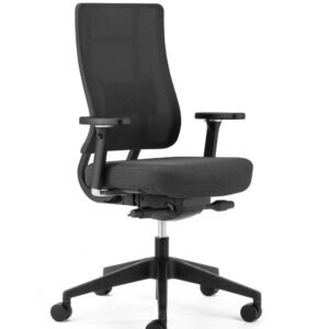 Trans Chair